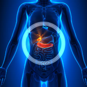 http://www.amega.ir/files/GOD/%D9%86%D9%88%D8%B4%D8%AA%D9%87/gallbladder.jpg