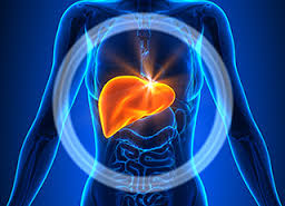 http://www.amega.ir/files/GOD/%D9%86%D9%88%D8%B4%D8%AA%D9%87/liver.jpg