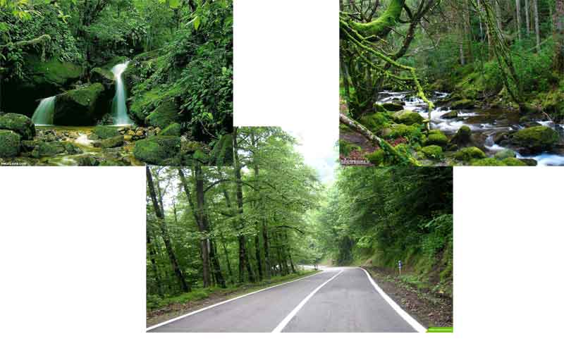 خواص دستبند مغناطیسی rainso